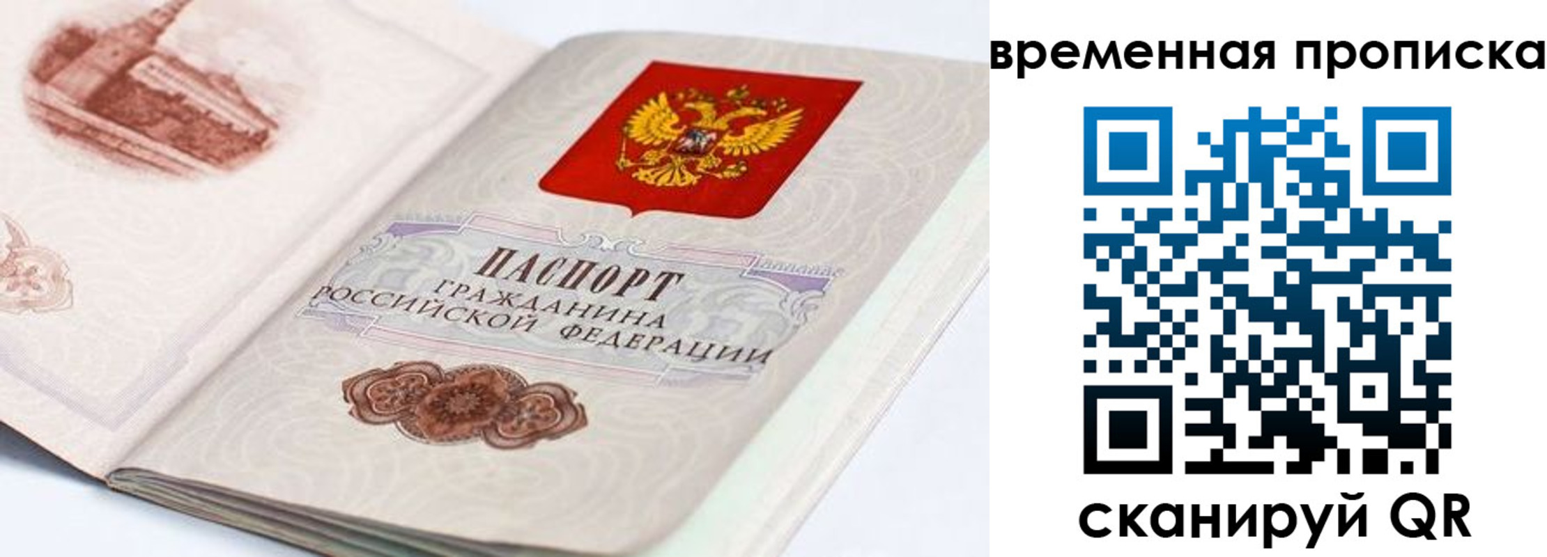 прописка 2025 в Павловском Посаде