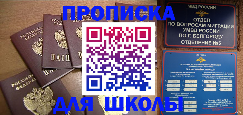 прописка гарантия в Павловском Посаде